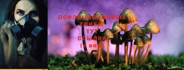 Альфа ПВП Лабытнанги