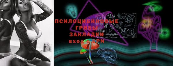 МДПВ Горно-Алтайск