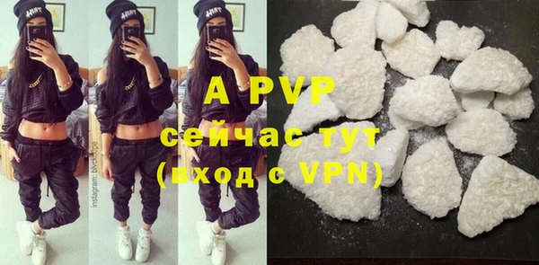 шишки Вяземский