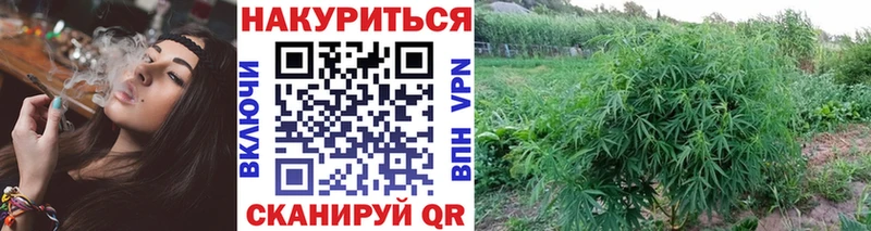 кракен рабочий сайт  как найти закладки  Данков  Бошки Шишки марихуана 